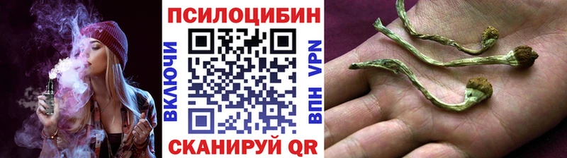Галлюциногенные грибы мухоморы  купить  цена  Аркадак 